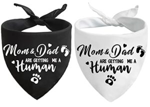 mom&dad are getting me a human, gender reveal photo prop pet scarf decorations accessories dog bandana, pet accessories for dog lovers, pack of 2