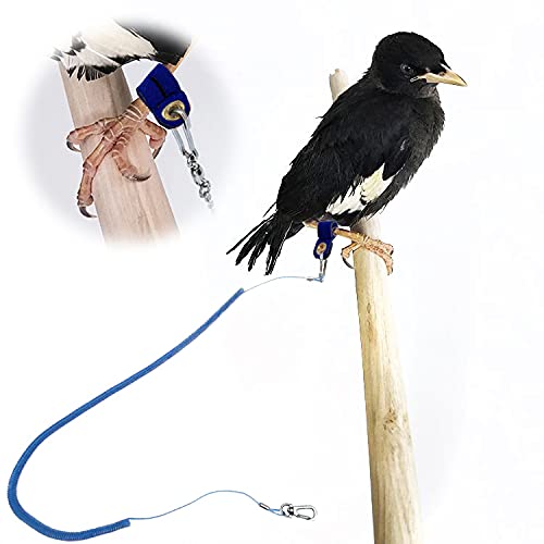 Parrot Bird Harness Leash Anti-bite Outdoor Blue Flying Training Rope with 5pcs Different Sizes of Soft Foot Loops and Training Whistle(Upgraded Version of Ankle Ring)