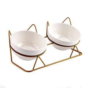 trosetry cat bowls, double ceramic pet bowls with 15°tilted raised stand for food and water, anti vomiting cat dish feeder, perfect for puppy cats and small dogs(double bowls1)