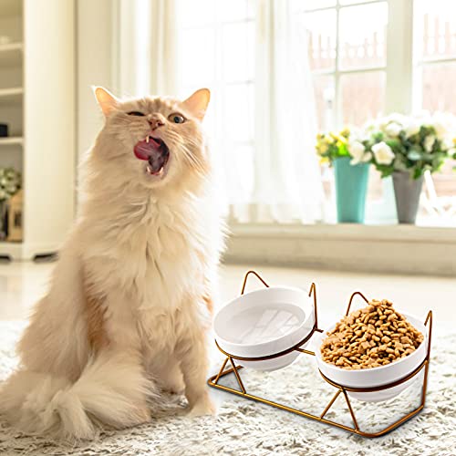 Trosetry Cat Bowls, Double Ceramic Pet Bowls with 15°Tilted Raised Stand for Food and Water, Anti Vomiting Cat Dish Feeder, Perfect for Puppy Cats and Small Dogs(Double Bowls1)