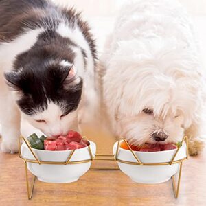 Trosetry Cat Bowls, Double Ceramic Pet Bowls with 15°Tilted Raised Stand for Food and Water, Anti Vomiting Cat Dish Feeder, Perfect for Puppy Cats and Small Dogs(Double Bowls1)