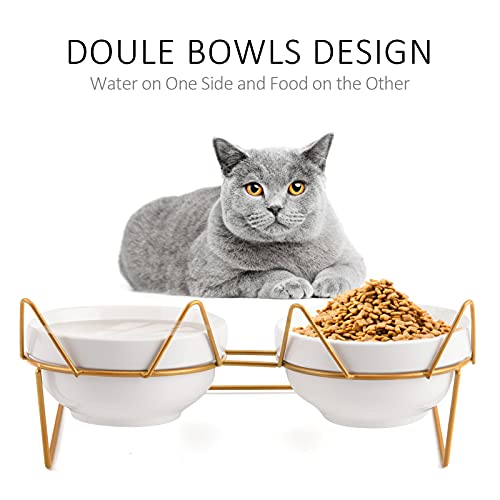 Trosetry Cat Bowls, Double Ceramic Pet Bowls with 15°Tilted Raised Stand for Food and Water, Anti Vomiting Cat Dish Feeder, Perfect for Puppy Cats and Small Dogs(Double Bowls1)