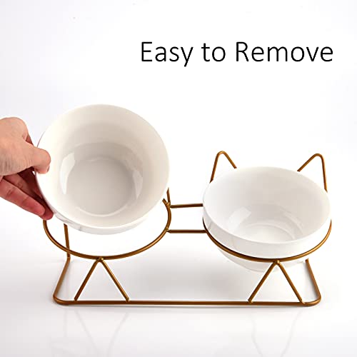 Trosetry Cat Bowls, Double Ceramic Pet Bowls with 15°Tilted Raised Stand for Food and Water, Anti Vomiting Cat Dish Feeder, Perfect for Puppy Cats and Small Dogs(Double Bowls1)