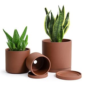 d'vine dev rust terracotta pots, set of 3, clay planters for indoor plants, succulent planter pot with drainage hole and saucer, 4.2 inch 5.3 inch 6.5 inch, 40-a-t-0