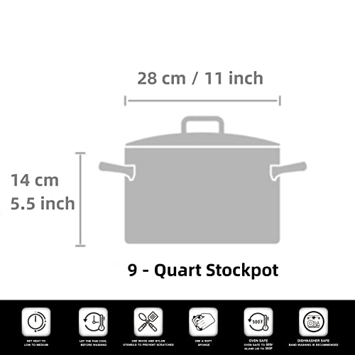 Cooks Standard Professional Stainless Steel Dutch Oven Stockpot with Lid, 9Qt