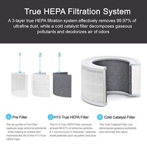 Home Air Purifier for Bedroom Baby Room Living Room Kitchen and Office, Quiet Air Cleaner with H13 True HEPA Filter, Removes Smoke Pet Dander Pollen Dust Odors, 100% Ozone Free