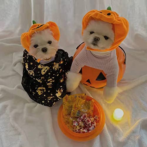 yolsun Cat Halloween Pumpkin Costume Puppy Kitten Pumpkin Hat Headdress for Halloween Cosplay Dress Up