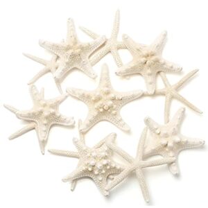 gopiter 12 pcs starfish | 2.5-6 inch starfish decor | natural bulk starfish shells perfect for crafts making beach theme party wedding decoration, home wall decor, christmas ornaments, fish tank