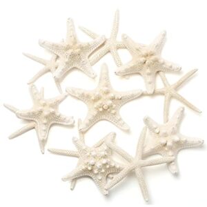 gopiter 12 PCS Starfish | 2.5-6 Inch Starfish Decor | Natural Bulk Starfish Shells Perfect for Crafts Making Beach Theme Party Wedding Decoration, Home Wall Decor, Christmas Ornaments, Fish Tank