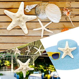 gopiter 12 PCS Starfish | 2.5-6 Inch Starfish Decor | Natural Bulk Starfish Shells Perfect for Crafts Making Beach Theme Party Wedding Decoration, Home Wall Decor, Christmas Ornaments, Fish Tank