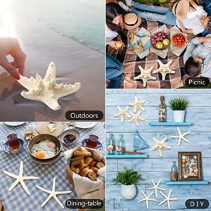 gopiter 12 PCS Starfish | 2.5-6 Inch Starfish Decor | Natural Bulk Starfish Shells Perfect for Crafts Making Beach Theme Party Wedding Decoration, Home Wall Decor, Christmas Ornaments, Fish Tank