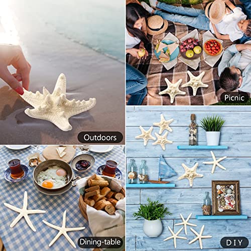 gopiter 12 PCS Starfish | 2.5-6 Inch Starfish Decor | Natural Bulk Starfish Shells Perfect for Crafts Making Beach Theme Party Wedding Decoration, Home Wall Decor, Christmas Ornaments, Fish Tank