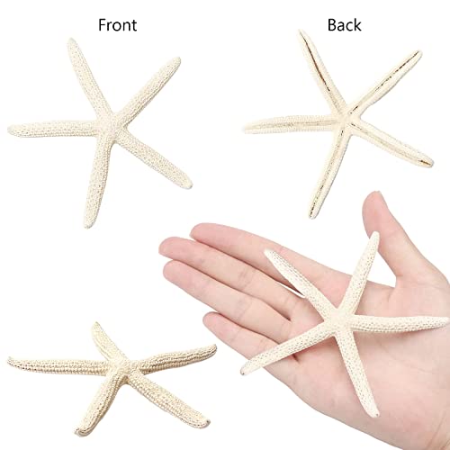 gopiter 12 PCS Starfish | 2.5-6 Inch Starfish Decor | Natural Bulk Starfish Shells Perfect for Crafts Making Beach Theme Party Wedding Decoration, Home Wall Decor, Christmas Ornaments, Fish Tank