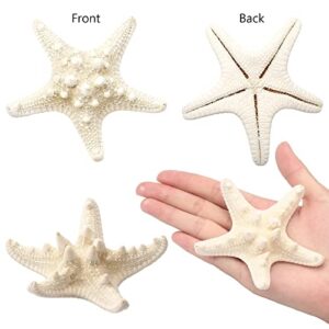 gopiter 12 PCS Starfish | 2.5-6 Inch Starfish Decor | Natural Bulk Starfish Shells Perfect for Crafts Making Beach Theme Party Wedding Decoration, Home Wall Decor, Christmas Ornaments, Fish Tank