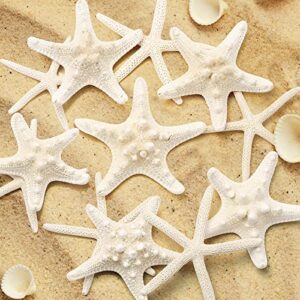 gopiter 12 PCS Starfish | 2.5-6 Inch Starfish Decor | Natural Bulk Starfish Shells Perfect for Crafts Making Beach Theme Party Wedding Decoration, Home Wall Decor, Christmas Ornaments, Fish Tank