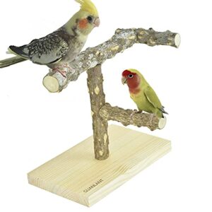 guanlant wood bird table perch parrot play stand，parakeet perch toy multi branch cockatiel perches stand, bird cage stand play station, conure playground for finches lovebirds senegal parrotlet