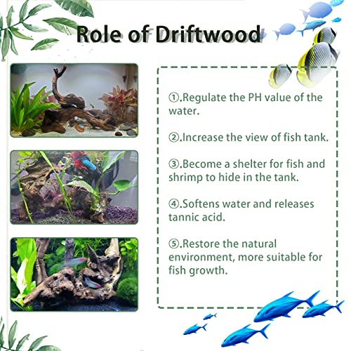 Tfwadmx Aquarium Natural Driftwood Decor Wood Branches 8.5-12" Fish Tank Decoration Reptile Habitat Assorted Trunk Terrarium Ornament(2 Pcs)
