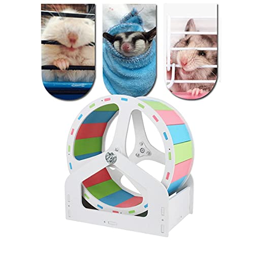 TDDGG Hamster Running Exercise Wheel Silent Runner Toy with Adjustable Stand Spinner (Color : C)