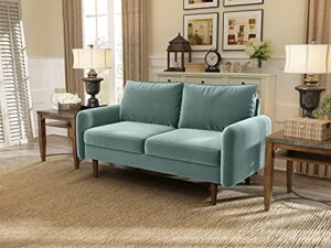 meeyar velvet loveseat sofas couches,small couch for apartment,modern for living room bedroom,solid wood legs,round arms,33" hx57.8 wx31.7 d,aqua turquoise