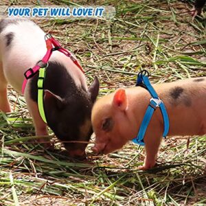 Frienda 2 Pieces Adjustable Mini Pig Harness Leash Mini Pig Walking Harness and Leash for Hog Piggy Ferret Rabbit Dog Cat and Other Small Animals Walking Training Jogging