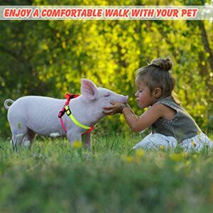 Frienda 2 Pieces Adjustable Mini Pig Harness Leash Mini Pig Walking Harness and Leash for Hog Piggy Ferret Rabbit Dog Cat and Other Small Animals Walking Training Jogging