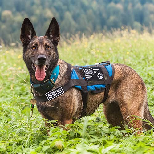 12 Pieces Service Dog Vest Patches with Adhesive Strap Removable Harnesses Tactical Hook and Loop Patch Set of American Flag Ask to Pet in Training