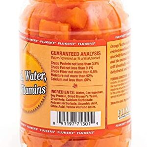 Fluker's Orange Cube Complete Cricket Diet 12oz - Includes Attached DBDPet Pro-Tip Guide