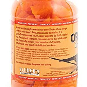 Fluker's Orange Cube Complete Cricket Diet 12oz - Includes Attached DBDPet Pro-Tip Guide