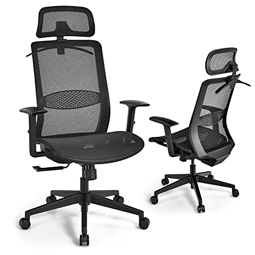 GOFLAME Ergonomic Mesh Office Chair, Swivel Executive Chair with Reclining High Backrest, Rotatable Headrest, Clothes Hanger and Lumbar Support, Height Adjustable Computer Desk Chair (Black)