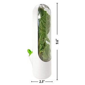 Caliber Cooks, Herb Saver Fresh Keeper Pods Produce Keeper Cilantro Containers for Refrigerator Storage Container for WellPacked Herb Holder Preserve Longer Well Sealing Lid , 9.8x6.6x25.1cm