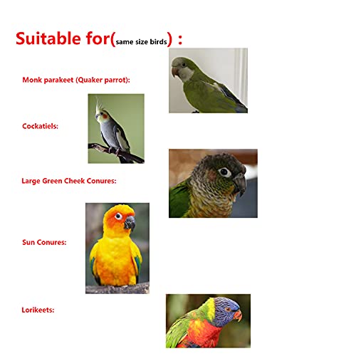 GUANLANT Quaker Parrot Flight Suits Diapers for Monk Parakeets, Cockatiels Flight Suits Liners, Parrot Clothes, Bird Training Nappy Suit Clothes with Hanger Leash Hole for Sun Conure Senegal Lorikeet