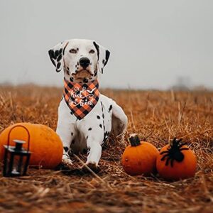 Family Kitchen Trick or Treat Bat Holiday Halloween Orange Plaid Washable Cotton Bat Pet Dog Bandana for Small Medium Large Pet Dog Cat Halloween Dog Scarf Accessories Gift