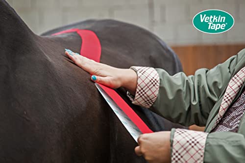 VetkinTape Displaybox | Equine & Canine Kinesiology Tape | Kinesiology Tape for Veterinary Purposes | 10 Uncut Rolls 2.4" X 16' | Available Colors: Black, Blue, Red, Orange, Lime & Pink (Lime)