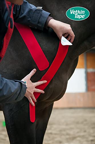 VetkinTape Displaybox | Equine & Canine Kinesiology Tape | Kinesiology Tape for Veterinary Purposes | 10 Uncut Rolls 2.4" X 16' | Available Colors: Black, Blue, Red, Orange, Lime & Pink (Lime)