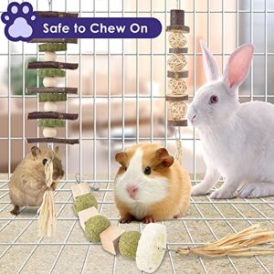 Bissap 3PCS Bunny Chew Toys, Natural Hanging Rabbit Chew Toy Treats for Guinea Pigs Hamsters Gerbils Chinchilla and Other Small Pets for Teeth Grinding