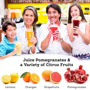 Tribest Pro MJP-105 XL Professional Manual Juice Cold Press Juicer for Pomegranate & Citrus, One-Size, Purple