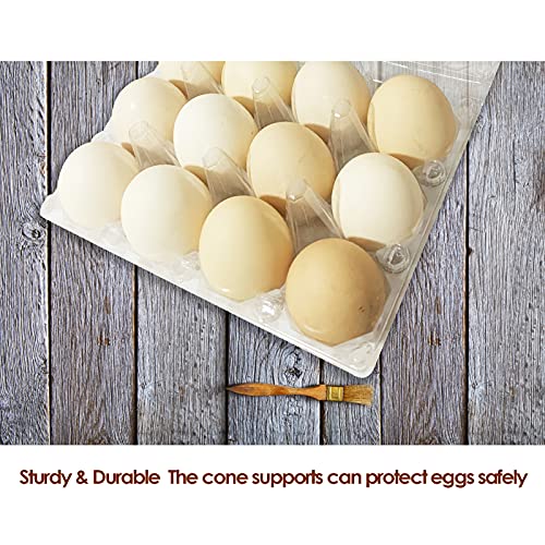Egg Cartons 50 Packs, Clear Eco-friendly Plastic Blank Egg Cartons, Holds up to 12 Eggs Securely, Perfect for Family Pasture Farm Markets Display - Medium