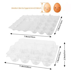 Egg Cartons 50 Packs, Clear Eco-friendly Plastic Blank Egg Cartons, Holds up to 12 Eggs Securely, Perfect for Family Pasture Farm Markets Display - Medium