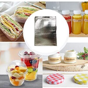 Signim Insulated Easy Zip Lock Resealable Aluminum Sandwich Bag with ice pack - Reusable Thermal Snack Bento Camping Picnic Hot & Cold Pouch (5P, 10 inch x 13 inch)