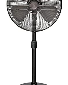 Hunter Adjustable 3 Speed Retro Pedestal Stand Floor Fan, 80 Degree Oscillation, 16", Onyx Copper