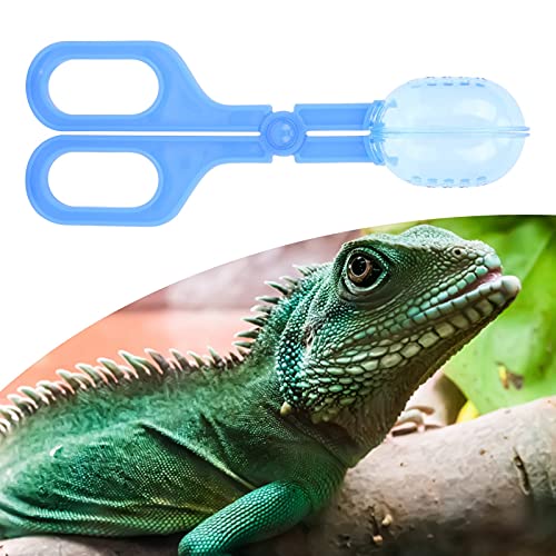 Reptile Feeding Clip, Amphibian Terrarium Feeding Clamp Reptile Terrarium Plastic Tongs Tweezers Feeding Tool for Spider Cricket