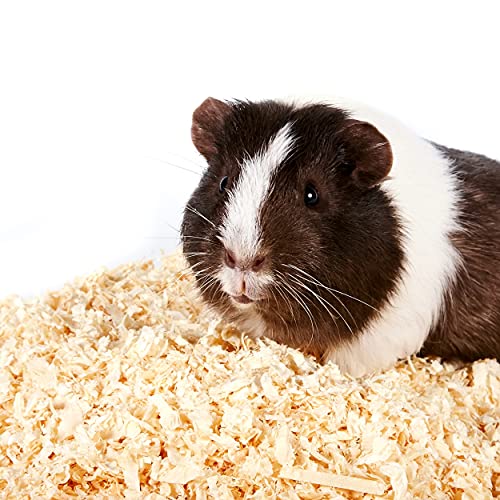 Petpost | Pine Bedding for Small Animals - 6 cu.ft. of Soft Wood Shavings for Rabbits, Guinea Pigs, & Hedgehog Habitats - Low Dust Cage Bedding for Pets - 2.3 cu.ft. Compressed Bag Expands to 6 cu.ft.