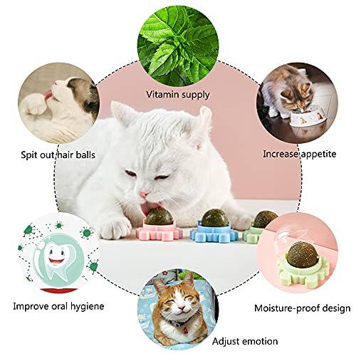 Kayina Catnip Wall Ball, 3-Piece Cat Toys, Edible Cat Licking Toy, Cat Chew Toy, Teeth Cleaning Cat Bite Toy, Rotatable Indoor Cat Toy, Cat Wall Decoration