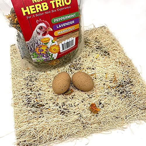 Cackle Hatchery Nest Box Accessory Kit (Standard) - Nest Box Pads, Nesting Herbs, Ceramic Nest Eggs, & Egg Cartons