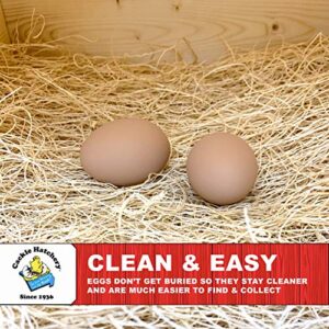 Cackle Hatchery Nest Box Accessory Kit (Standard) - Nest Box Pads, Nesting Herbs, Ceramic Nest Eggs, & Egg Cartons