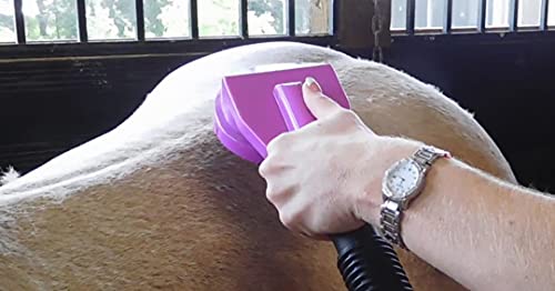 CurryVac Vacuum Powered Horse Curry Removes Hair Dirt and Dander, Massages Coat, Use Like a Soft Brush