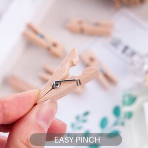 Small Clothes Pin, Mini Clothespins for Crafts,100 PCS Mini Clothes Pins Wooden with Storage Bag,Small Clothes Pins for Photos,Crafts,Hanging Clothes,Baby Shower,Display Artwork