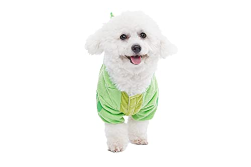 Spooktacular Creations Dinosaur Hoodie Pet Costume for Cat and Dog Halloween Dress Up Party and Pet Cosplay (Medium)