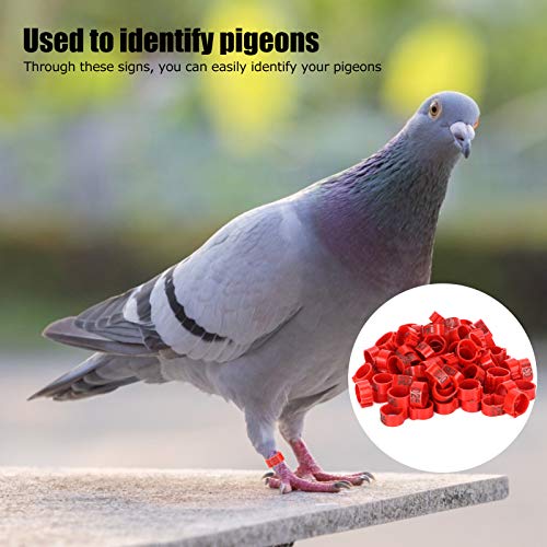 Astibym Bird Clip, 100Pcs Plastic Pigeons Identify Reusable Easy to Use Pigeons Leg Bands 001‑100 Numbered for Parrots(10mm red with Word Ring)