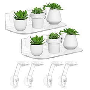 npplus 2 pack acrylic suction cup shelf, tool free window plant shelves with legs, 12 inches clear acrylic indoor ledge garden stand with for growing herbs, microgreens, succulents,etc.